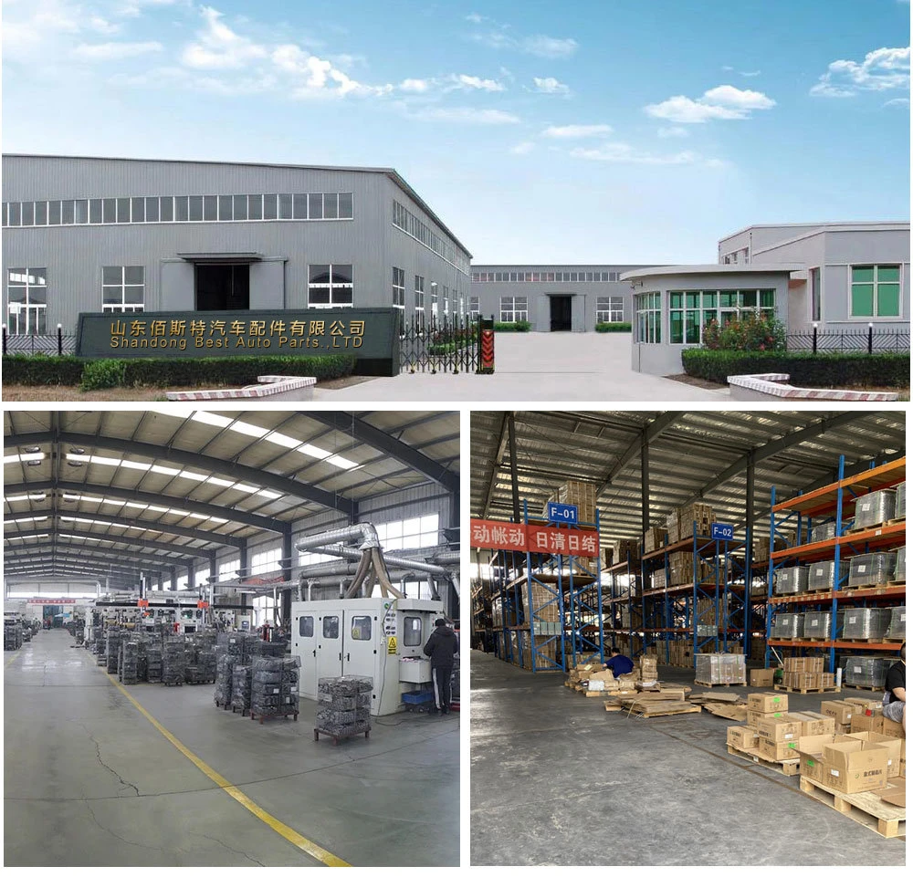 Shandong-Best-Auto-Parts-Co-Ltd.jpg